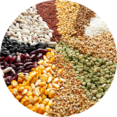 grains